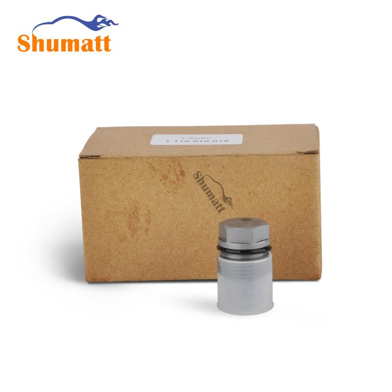 China Made New Common Rail pressure relief valve pressure limiting valve 1110010027 for CR Pipe 044224028 & 073 & 043 & 001