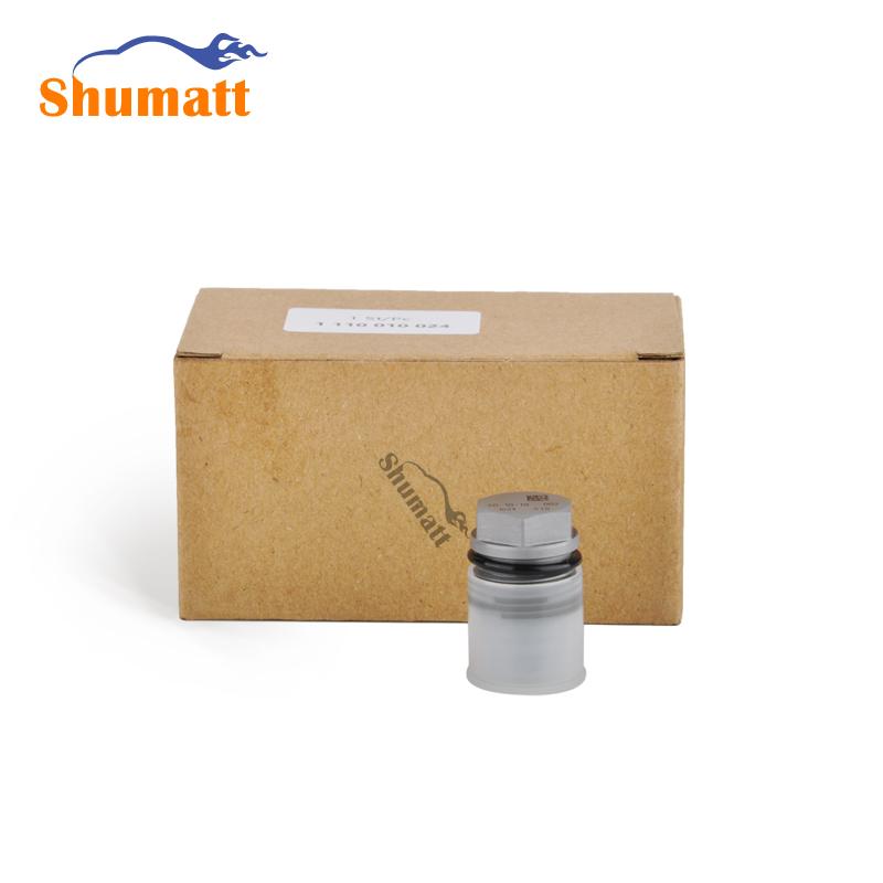 China Made New Common Rail pressure relief valve pressure limiting valve 1110010024