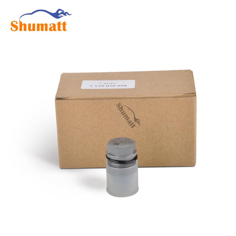 China Made New Common Rail pressure relief valve pressure limiting valve 1110010026